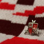 Значка ДС мачеви