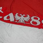 Шал СА 89 (жакард)